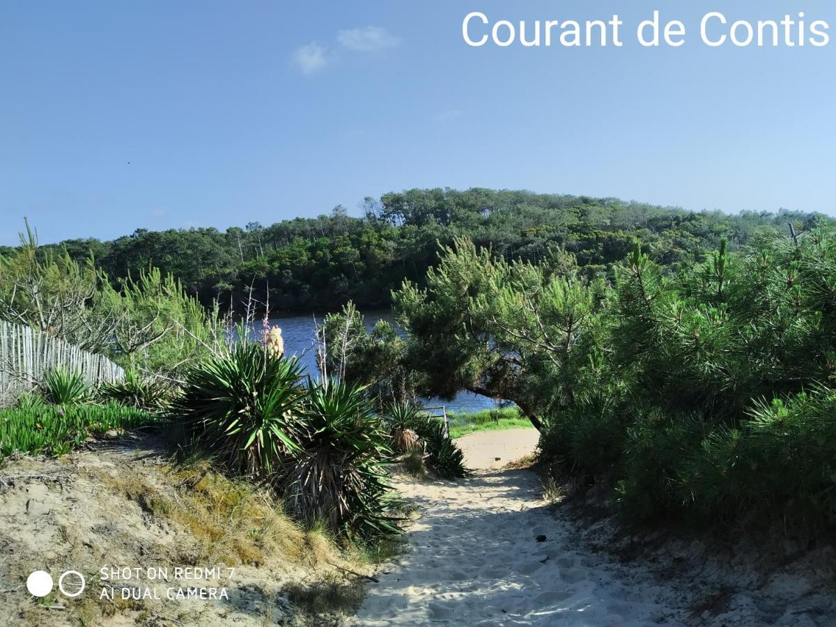Les Vignes Campsite Lit-et-Mixe